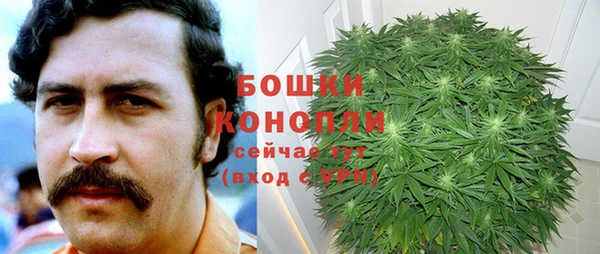 спайс Аркадак