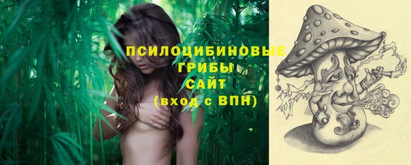 спайс Аркадак